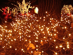 031 Toledo Zoo Light Show [2008 Dec 27]